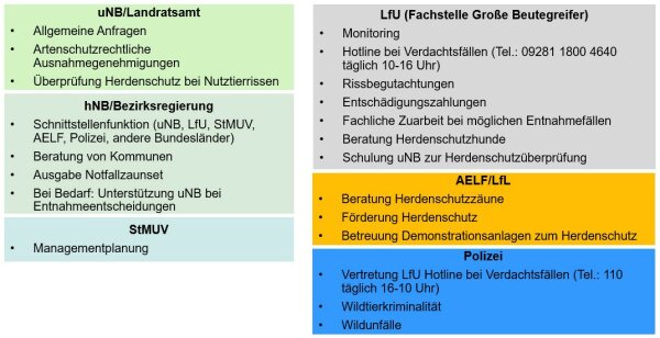 Struktur Wolfsmanagement