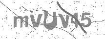 CAPTCHA Image oder vorlesen lassen